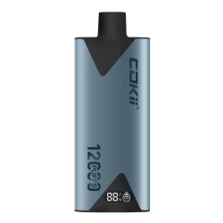 Cokii disposable vape 12000 puffs with screen display of battery power and e liquid volume