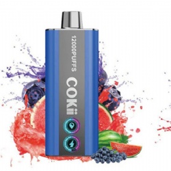 Cokii disposable vape 12000 puffs with Animation Flame screen display of battery power and e liquid volume